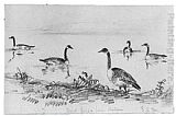 Wild Geese (from McGuire Scrapbook) by Shepard Alonzo Mount